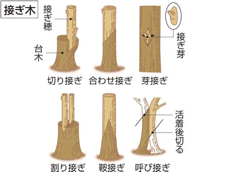 台位|「台位」の意味や使い方 わかりやすく解説 Weblio辞書